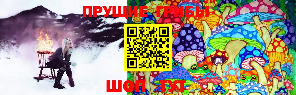 Псилоцибиновые грибы Psilocybine cubensis Кыштым